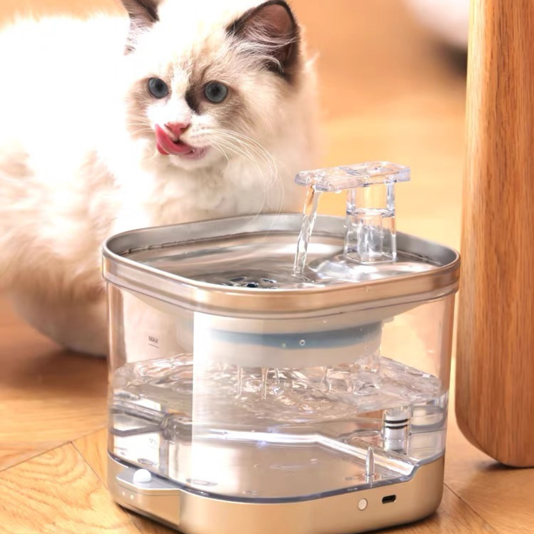 Nuka Paws & Refresh: Intelligent Sensor-Activated/Cordless Pet Fountain